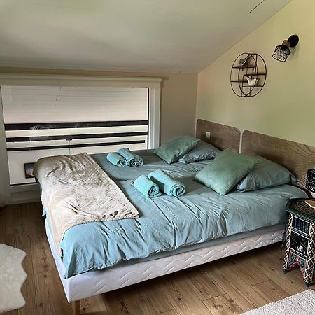 Duplex 3 Chambres Vue Mont-Blanc Domancy Екстериор снимка